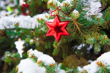 ��� ������� ��������� ���� ��� ���������� ���������� � 2026 ����