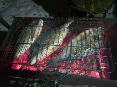 ����� ������ ������ � ���� �������� ��������: ���� ������� ���������� �������