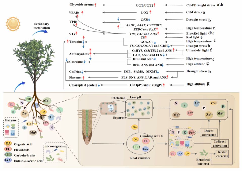 ��� ������ �� �������� ������ �������: ����� ������������ �� �����