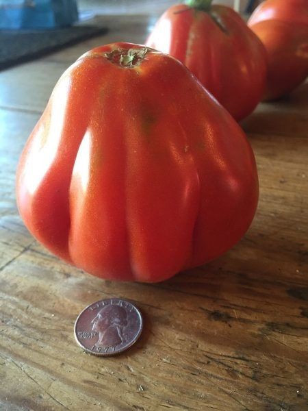 �����-������������ �����: ��� ��������� ������ ���� �� ���������