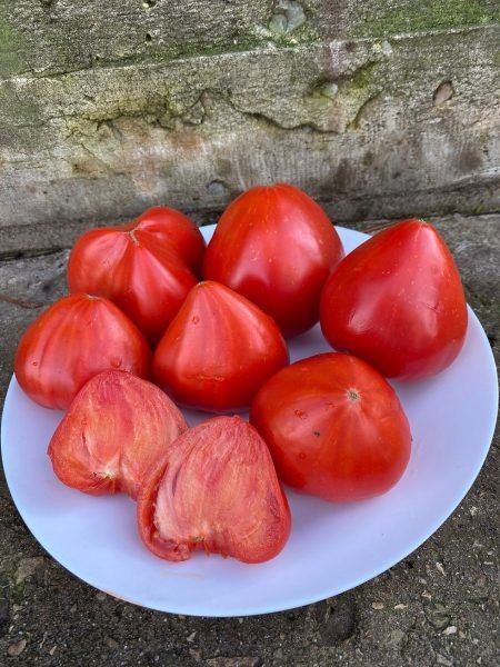 ����� ������ ������: ��������� ����� � ������������� ���� ��� ��������� ��������