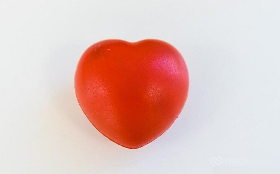 ��������� �����: ��� �� �������� ������ ������ ������������ ���������