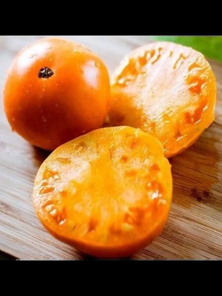 ����� ���: ����� ������������ ����� � ��� �������������� �������