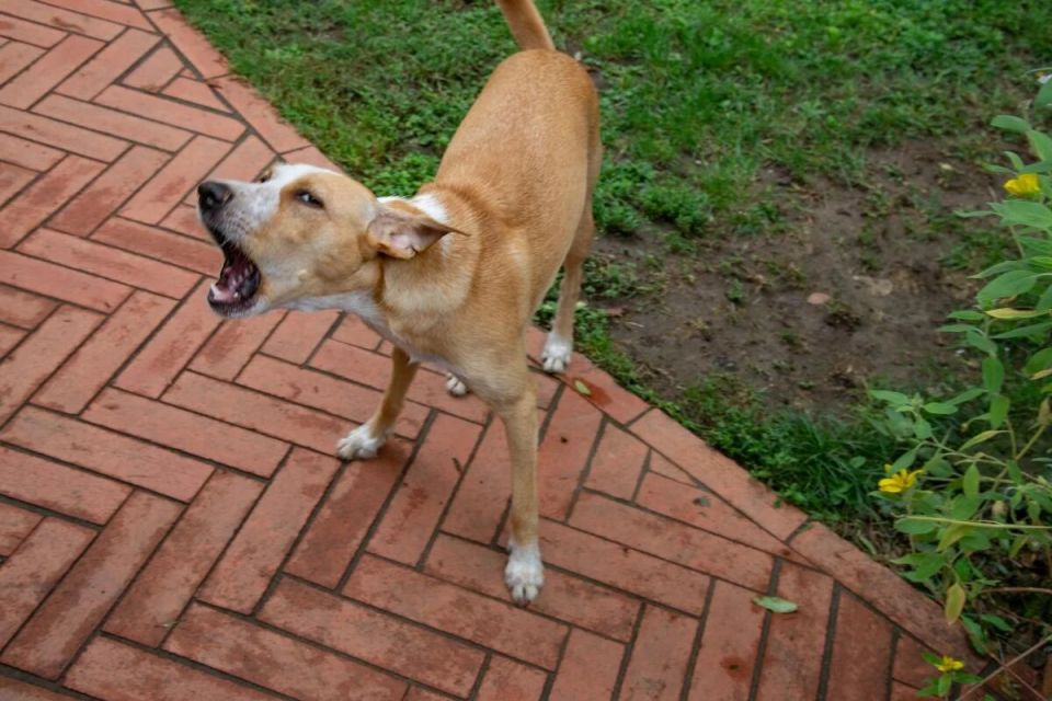 ������� ����������: ����� ������ �� ����� ������� � ������ �� ����� �������� � ���������