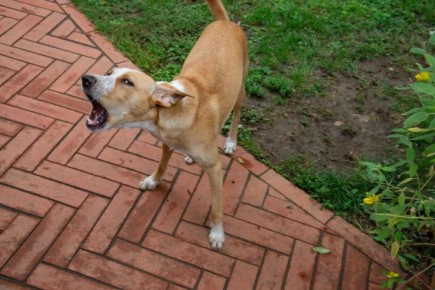 ������� ����������: ����� ������ �� ����� ������� � ������ �� ����� �������� � ���������