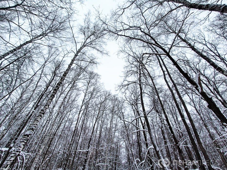 � ����� ���� 12 ������� ��������� �� -8 �������� � ��������� ����