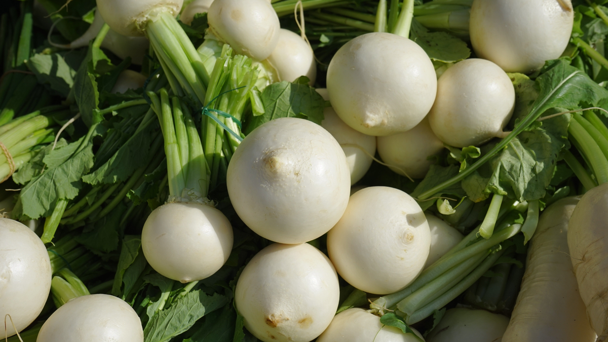 Репа: неожиданная звезда гастрономии