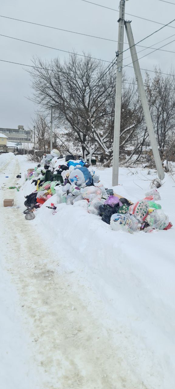 У на улице Северной (Пенза- IV) - другая проблема