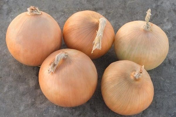 ��� ����: ��������� ����� ��� ������ ���� � 2025 ����