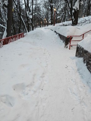 Тропа здоровья превратилась в тропинку, протоптанную усилиями жителей, сообщает наш читатель