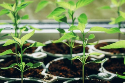 ��� �������� �������� �������� ������� ����� ���������� �������