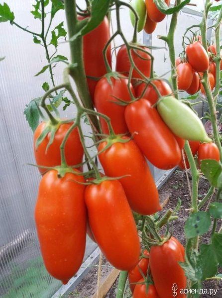 ����� ��������: �������� ����� ��� ������� ������ � ����� ����