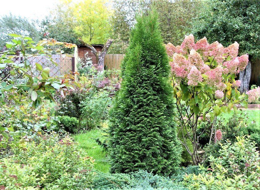 ��� ��������� ����������� ��� � ����: ������� ����� � �������� �� �����