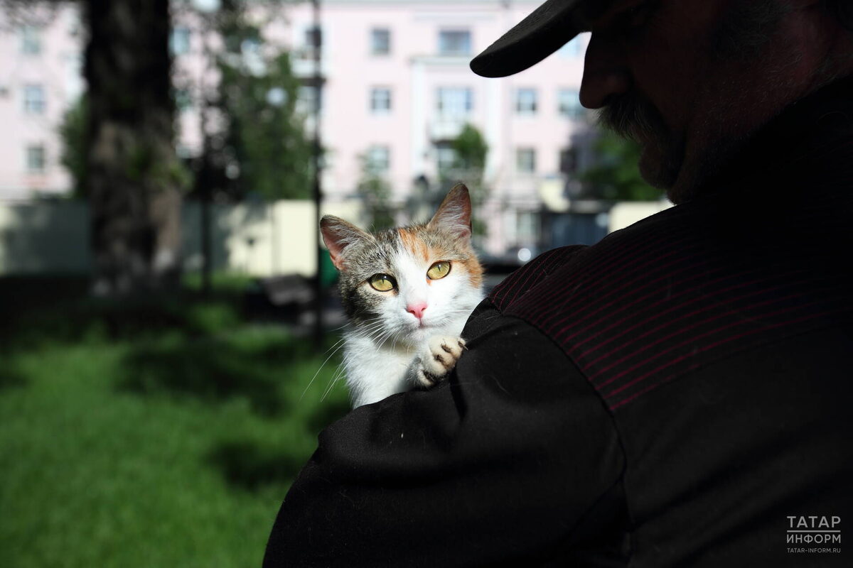 Депутаты предлагают запретить залог домашних животных