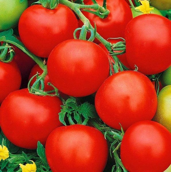 ����� ������: ��������� ����� ��� ��������� ������