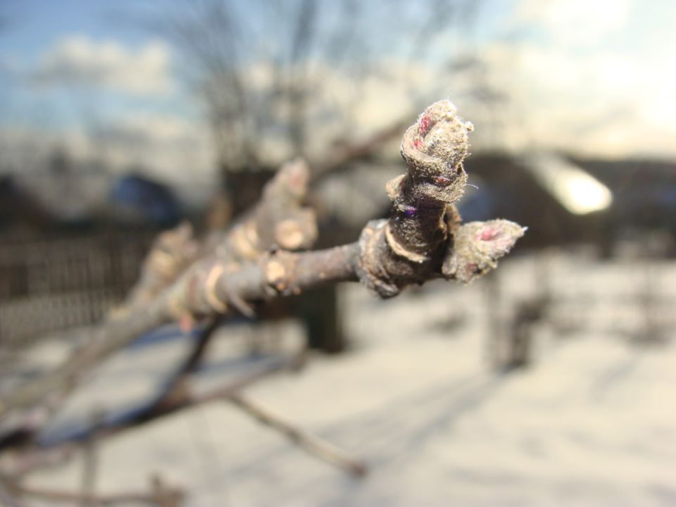 ��� ��������� �������� �������: ������� ����� �� �����