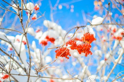 ������� ����� ��������� ������: ��������� ���������� � ������ � 17 �� 20 �������