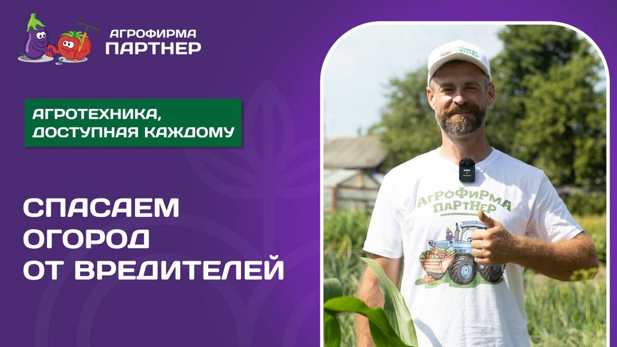 Борьба с вредителями на огороде: советы, которые сработают