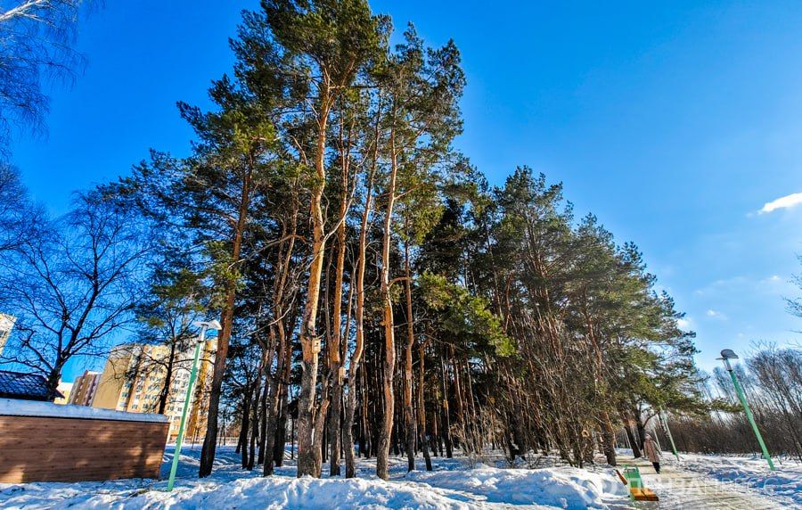 ����������� ����� ��������� � ����������� ���-24 �����: ������������