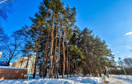 ����������� ����� ��������� � ����������� ���-24 �����: ������������