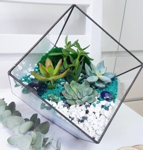 Флорариум: Как стекло завоевало мир комнатных растений