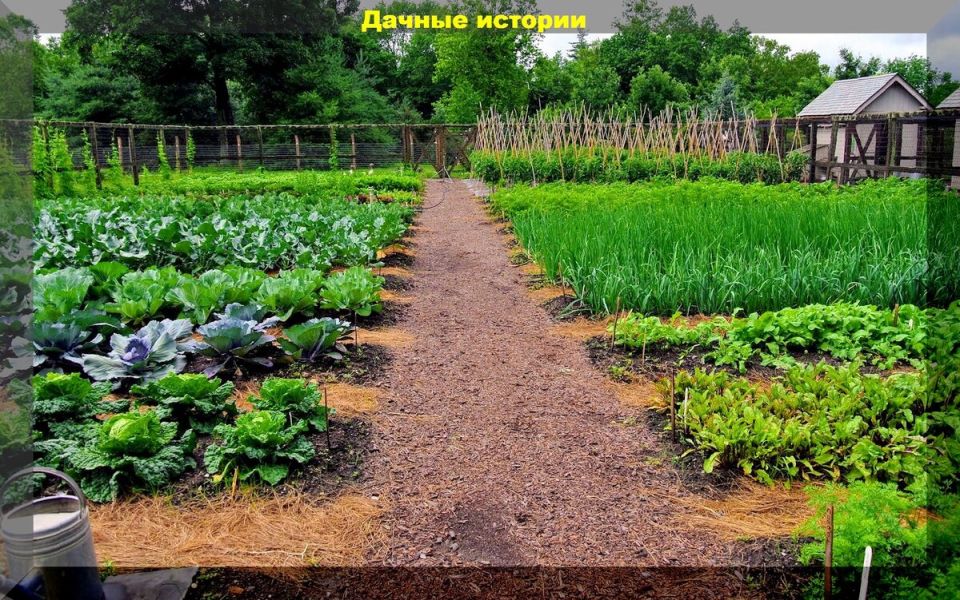 ������ �� ����� ���������� ������� ���������: �������� ������