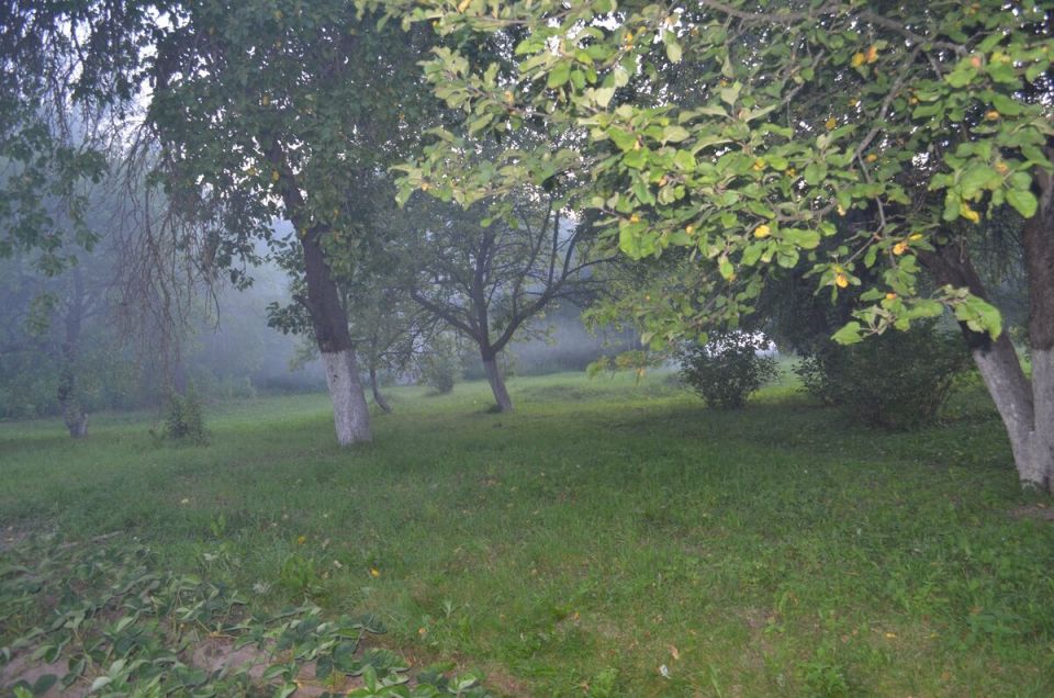 ������ ������� ����������� ����: ��� �������� �������� ������