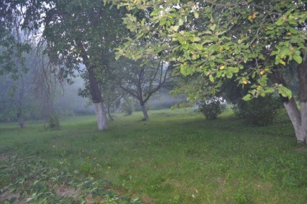 ������ ������� ����������� ����: ��� �������� �������� ������