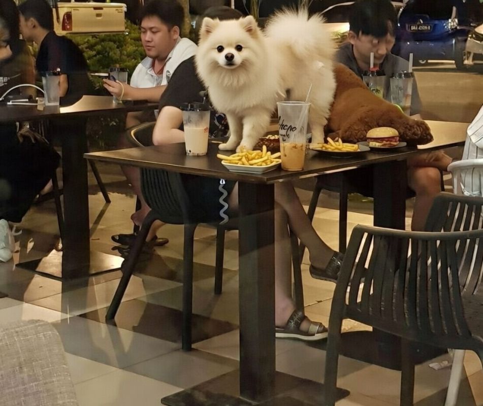 ����� ������ � ������� ������������ � ������: ������������ �������� � ����