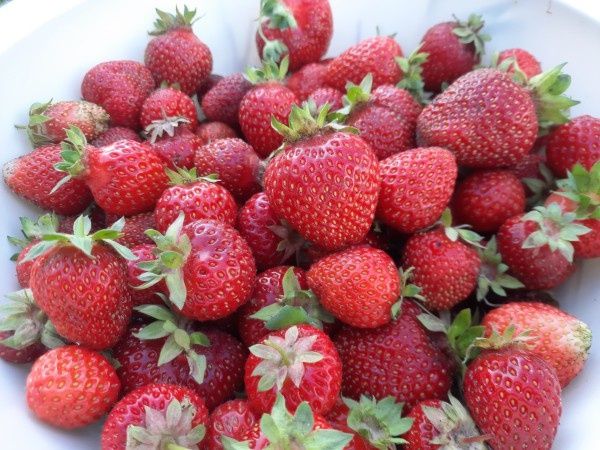 ����������� ����: ��� �� ��������� �� ������ ���������������� ���������