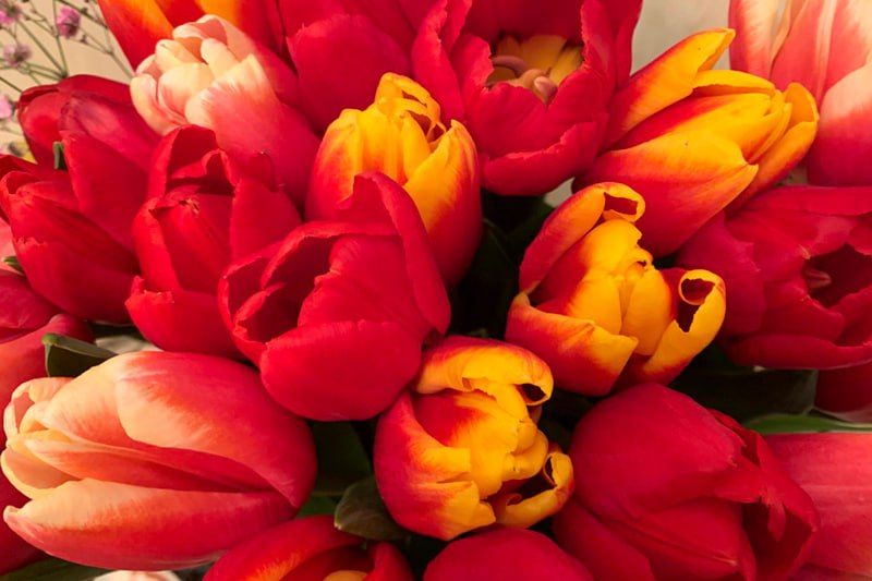 ������� �� ������� ������ ��������� 5�����