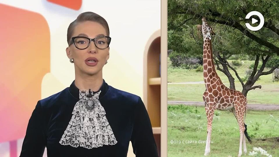 �� ����������� ������� � �������� - �� ��������, �������