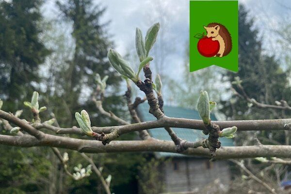 �������� ������ � �������: ��� ��������� ������ � �������� �������� ������