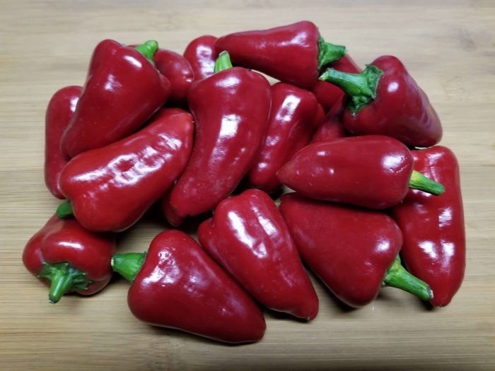 ����� ������: ���������� ���� � ������ � �������� �������