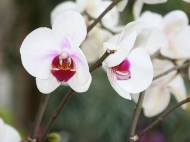 ������ ����� ��������� ����� ��� �������� �������