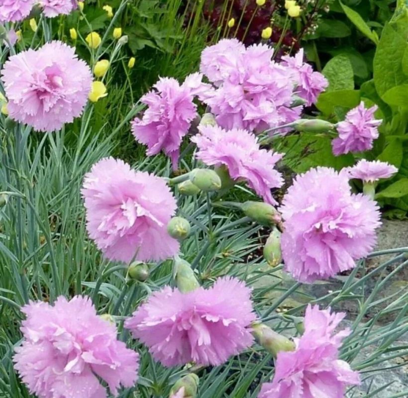 �������� ��������: ��������� ����� ��� ������ ����