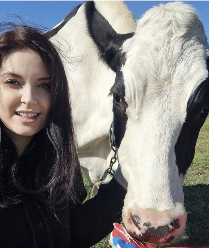 ��������� ���������������: ����������� ����� �� ��������