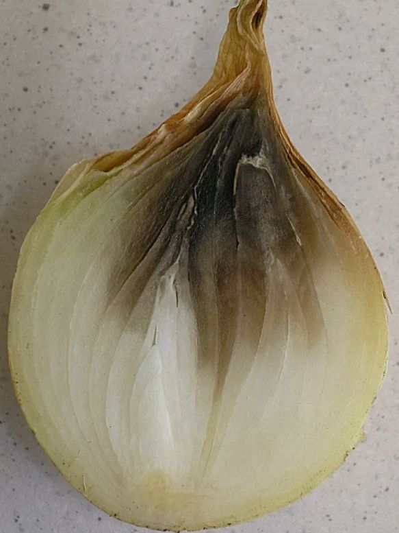 ����� ������: ������ ��� ���� ������� �� ������