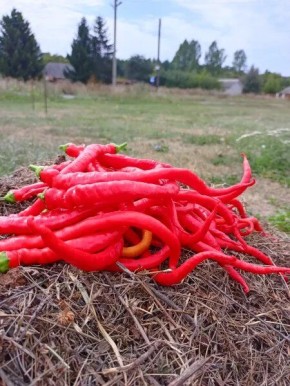 �������� ����: ������� ������������� ����� � ������������ ������