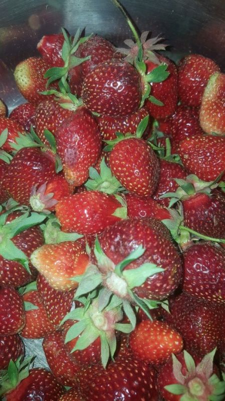 ������� �������� ��������� �������� ��� ������������� ������