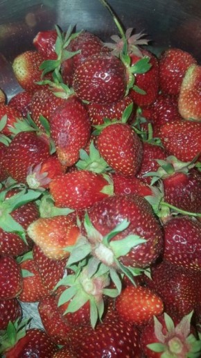 ������� �������� ��������� �������� ��� ������������� ������