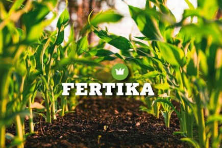 Как подготовить грядку для весеннего овощеводства