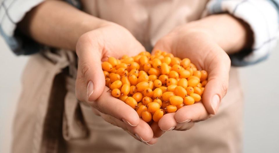 ������� ��������: �������� �������� � ������� �������