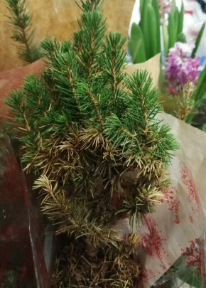 ��� ��������� ���������� ���������� ���� � ��� �� ���� � ��������