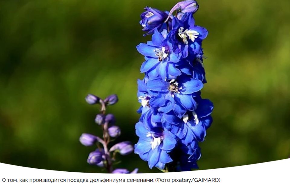 ����������: ������� ��������� ������ � ����� �� ��������