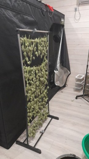 ���������� ����������� �������� ���������� ������ ������� ������ ����������