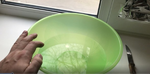 �������� ���������� ����� ��� ����� ���� ��� ��������