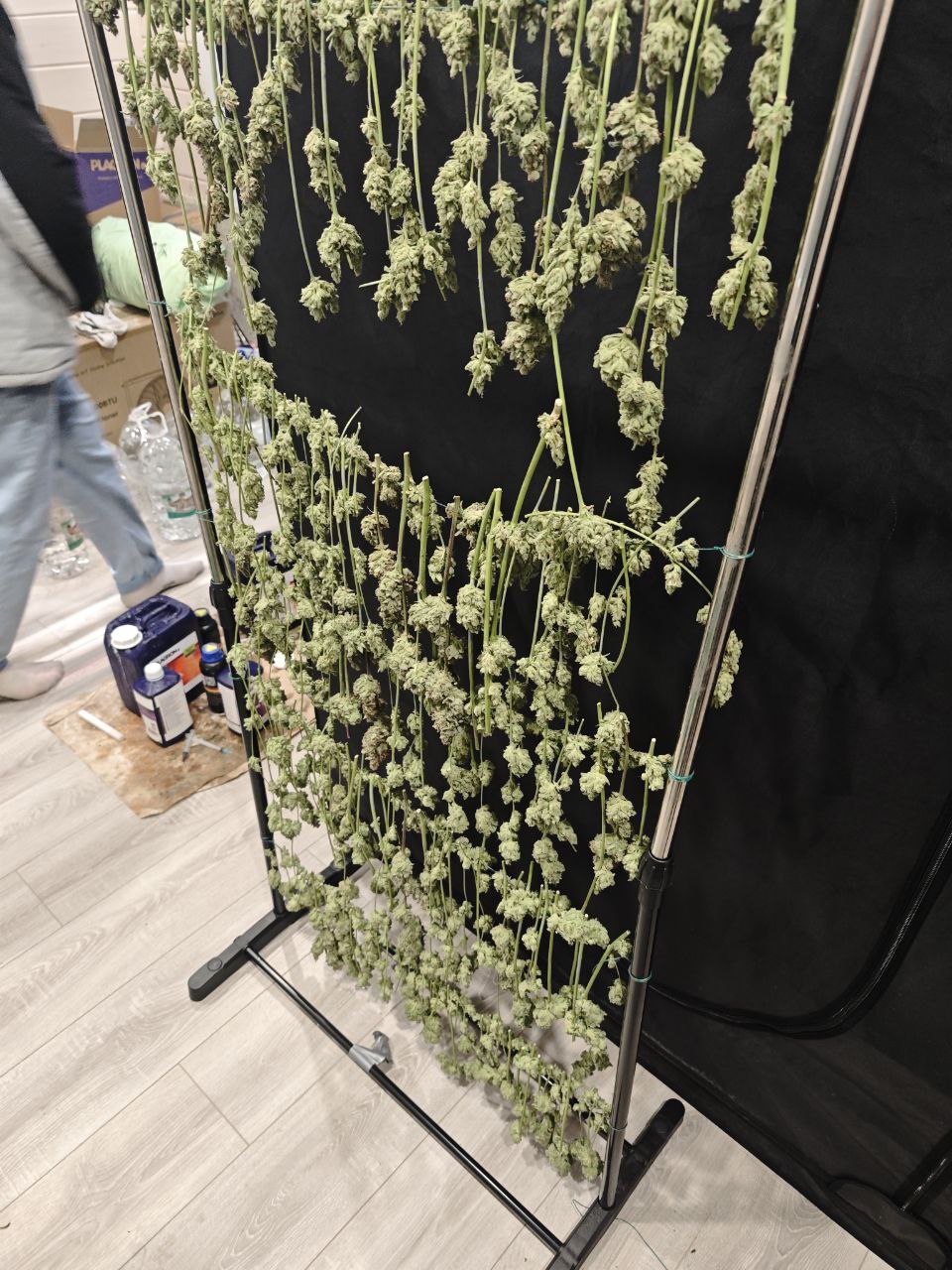 Пензенские полицейские пресекли незаконный оборот крупной партии наркотиков Пензенские полицейские пресекли незаконный оборот крупной партии наркотиков