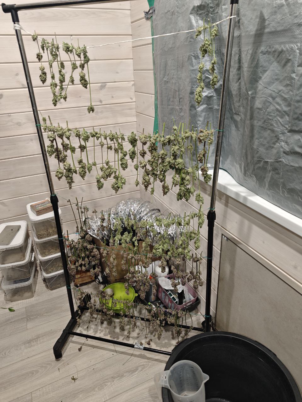 Пензенские полицейские пресекли незаконный оборот крупной партии наркотиков Пензенские полицейские пресекли незаконный оборот крупной партии наркотиков