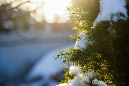 Небольшой снег и легкий мороз: календарная зима в Пензе завершится без погодных «сюрпризов»